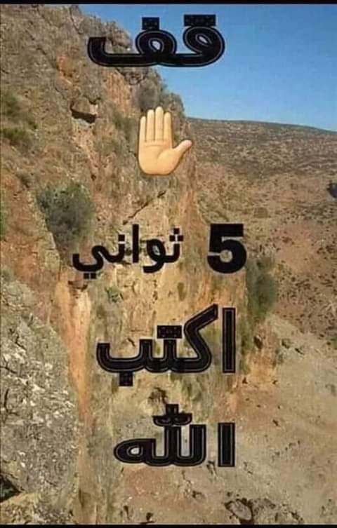 بنت الياسمين tweet media