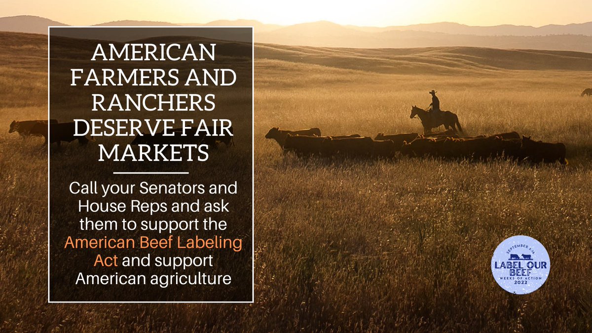 worcaction's tweet photo. The year after #CountryofOriginLabeling for beef was repealed, U.S. cash receipts from the sale of cattle fell $17billion. #AmericanRanchers have been struggling since. Here’s how you can help: https://t.co/Ss9o391ZBe #LabelOurBeef https://t.co/PbcBGkCHd4