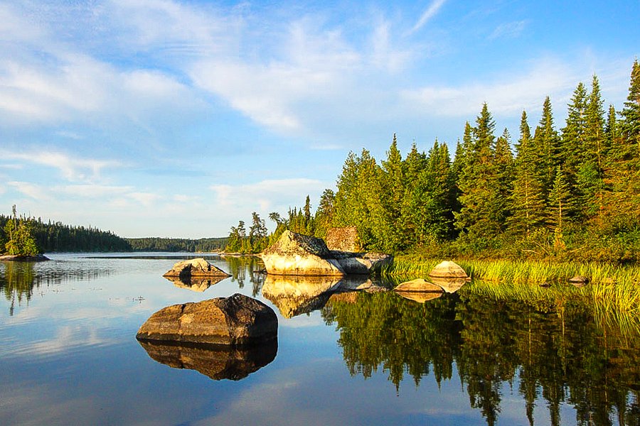 OntarioParksNE's tweet photo. Birds are pretty and have sweet songs. They are also  vitally important for our ecosystems.

Here's how Ontario Parks staff are monitoring and mapping the birds of the Boreal Forest to learn more about the health of park environments: https://t.co/P5C1EDz8OB  

#BreedingBirdAtlas https://t.co/36NgGMqnra