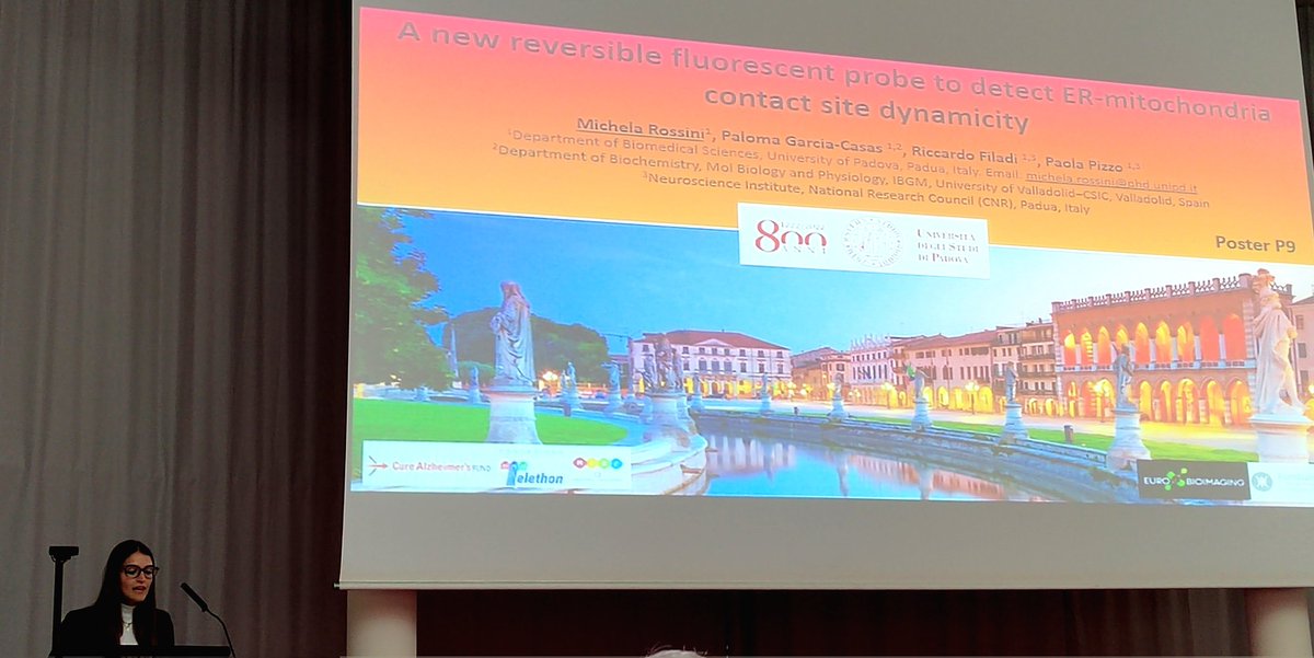 Michy_Rossini's tweet image. 🤩Excited for my 1st international congress. I loved meeting great scientists and shearing ideas at #ECS2022.💡I want to thank the commission and in particular @ADolga, @MackrillJohn &amp;amp; @LMCSLeuven to have awarded me with the "Travel Fellowship" and "The best flash presentation"🏆