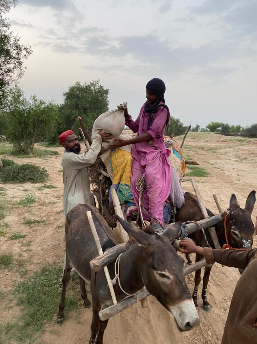 BanariMengal's tweet image. Today 80 monthly ration bags were disturbed by our volunteers in Jhal Magsi. Our team reported that the condition there is disastrous. Everyone is trying their best to help but the damage is irreversible at this point with minimal support from the provincial &amp;amp; federal government.