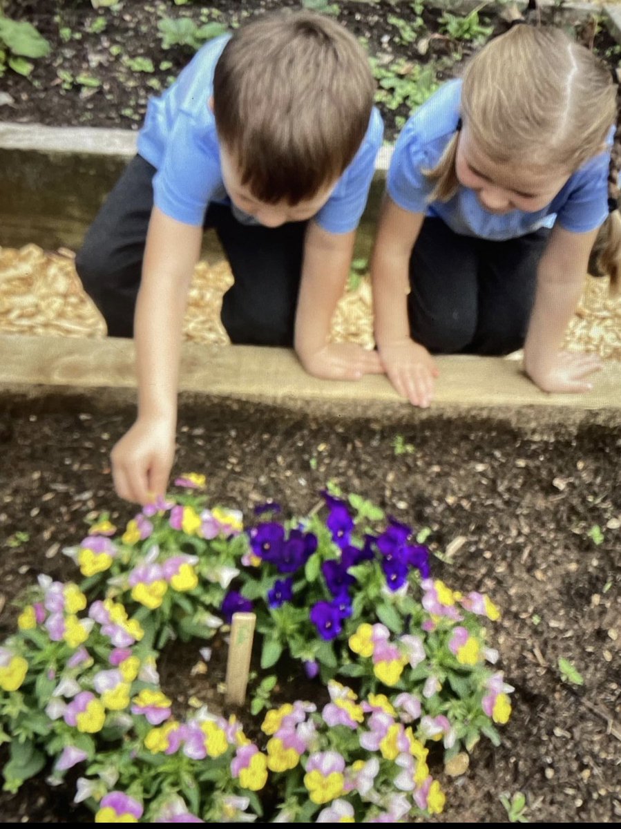 HWPS_Buttercups's tweet photo. 🪴🌱Starting our topic about plants and tree. We explored the wonderful grounds we have here. We found lots of different types of plants, tree and fruit growing. We are going to be experts in identifying them all soon. 🌱🪴 #gooutdoor #science #baseline #plants https://t.co/a7RTVskZ02