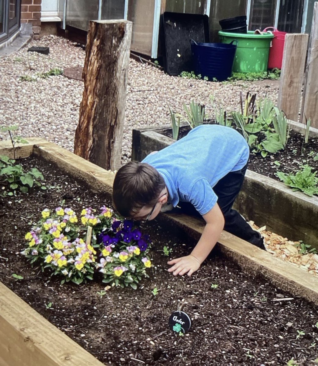 HWPS_Buttercups's tweet photo. 🪴🌱Starting our topic about plants and tree. We explored the wonderful grounds we have here. We found lots of different types of plants, tree and fruit growing. We are going to be experts in identifying them all soon. 🌱🪴 #gooutdoor #science #baseline #plants https://t.co/a7RTVskZ02