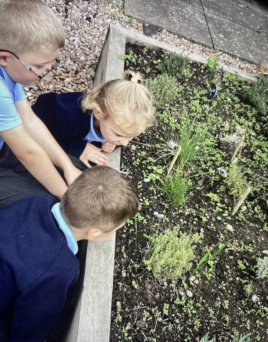 HWPS_Buttercups's tweet photo. 🪴🌱Starting our topic about plants and tree. We explored the wonderful grounds we have here. We found lots of different types of plants, tree and fruit growing. We are going to be experts in identifying them all soon. 🌱🪴 #gooutdoor #science #baseline #plants https://t.co/a7RTVskZ02