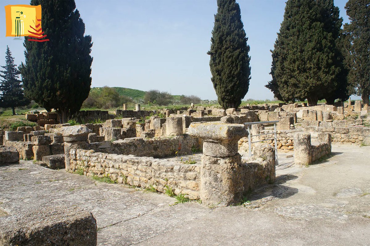 AMVPPC's tweet photo. 🔸Maison de la chasse (Utique - Bizerte)
Une mosaïque à scènes de chasse qui recouvrait le sol des portiques nord et ouest du péristyle a donné son nom à la maison (elle est exposée en partie dans le musée et sur un panneau du jardin).
#amvppc #patrimoine #utique https://t.co/hYV4cp9nLo