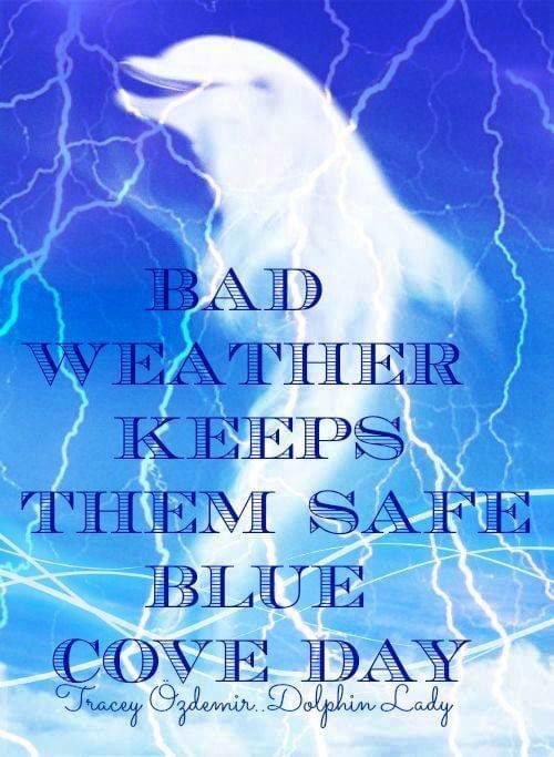 KunitoSeko's tweet photo. おはようございます、悪天候の為イルカ追い込み猟の船は出港しません🚢
Blue Cove today💙🐬🐳💙
#和歌山 
#太地
#Taiji
#太地くじらの博物館 
#太地くじら浜海水浴場 
#太地いさな組合 
#太地漁業協同組合 
#イルカ追い込み猟廃止を求める 
#イルカ追い込み猟 
#イルカ追い込み反対 
#イルカ https://t.co/P2UwzaQ5P4