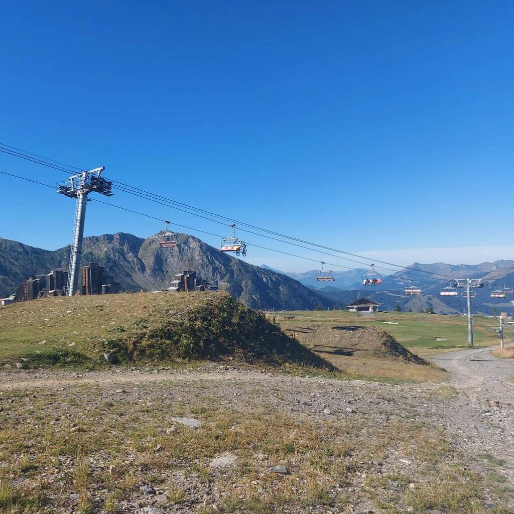 MINT Snowboarding tweet media