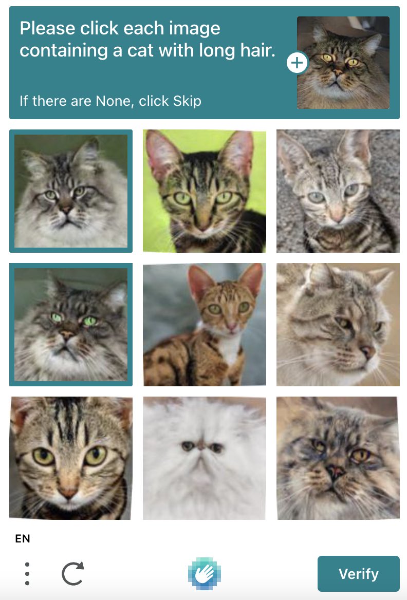 natashateym's tweet photo. this captcha reached its target audience 🥲 https://t.co/0iw7YcWkWT