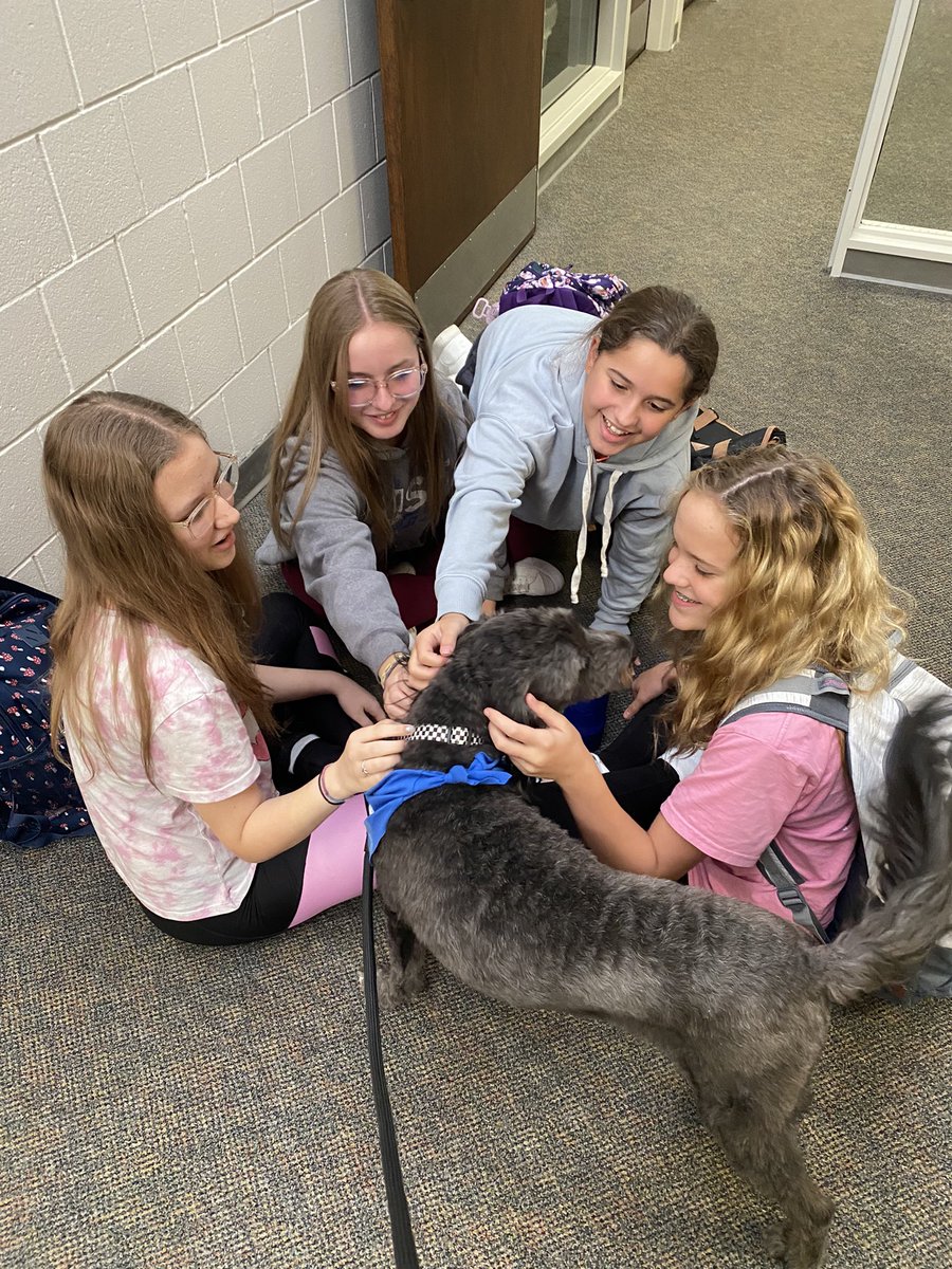 Remi_Ingwerson's tweet photo. I love pets! And all my friends at NMS! 🐕😊❤️🐶#nmsstangs https://t.co/1bfyJocSgr