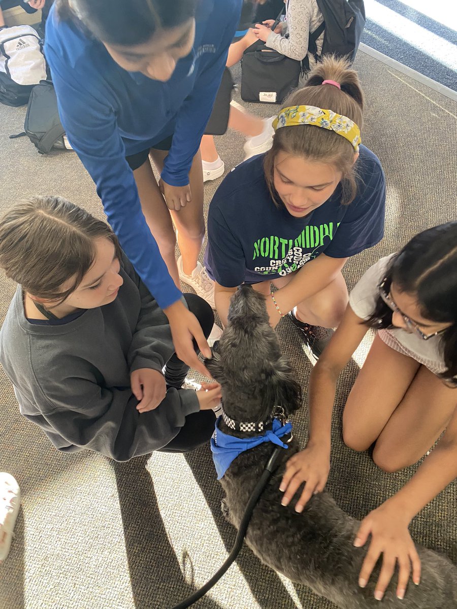Remi_Ingwerson's tweet photo. I love pets! And all my friends at NMS! 🐕😊❤️🐶#nmsstangs https://t.co/1bfyJocSgr