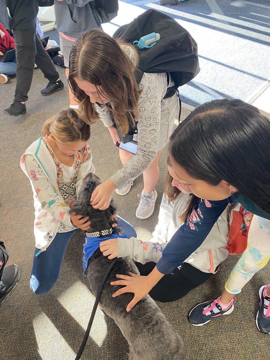 Remi_Ingwerson's tweet photo. I love pets! And all my friends at NMS! 🐕😊❤️🐶#nmsstangs https://t.co/1bfyJocSgr