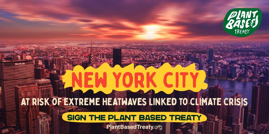 Toronto Chicken Save tweet media