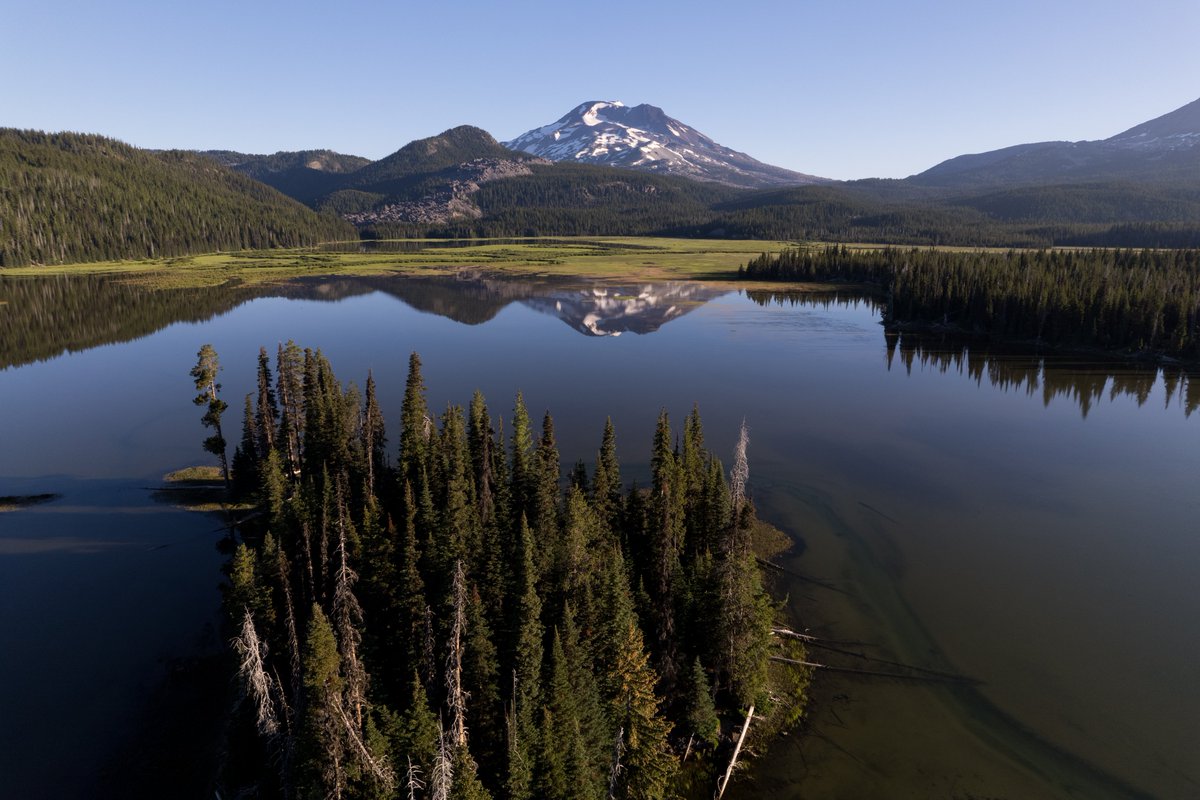 “Study nature, love nature, stay close to nature. It will never fail you.”

—Frank Lloyd Wright
