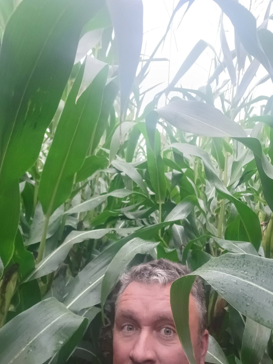 Nolan Farming tweet media