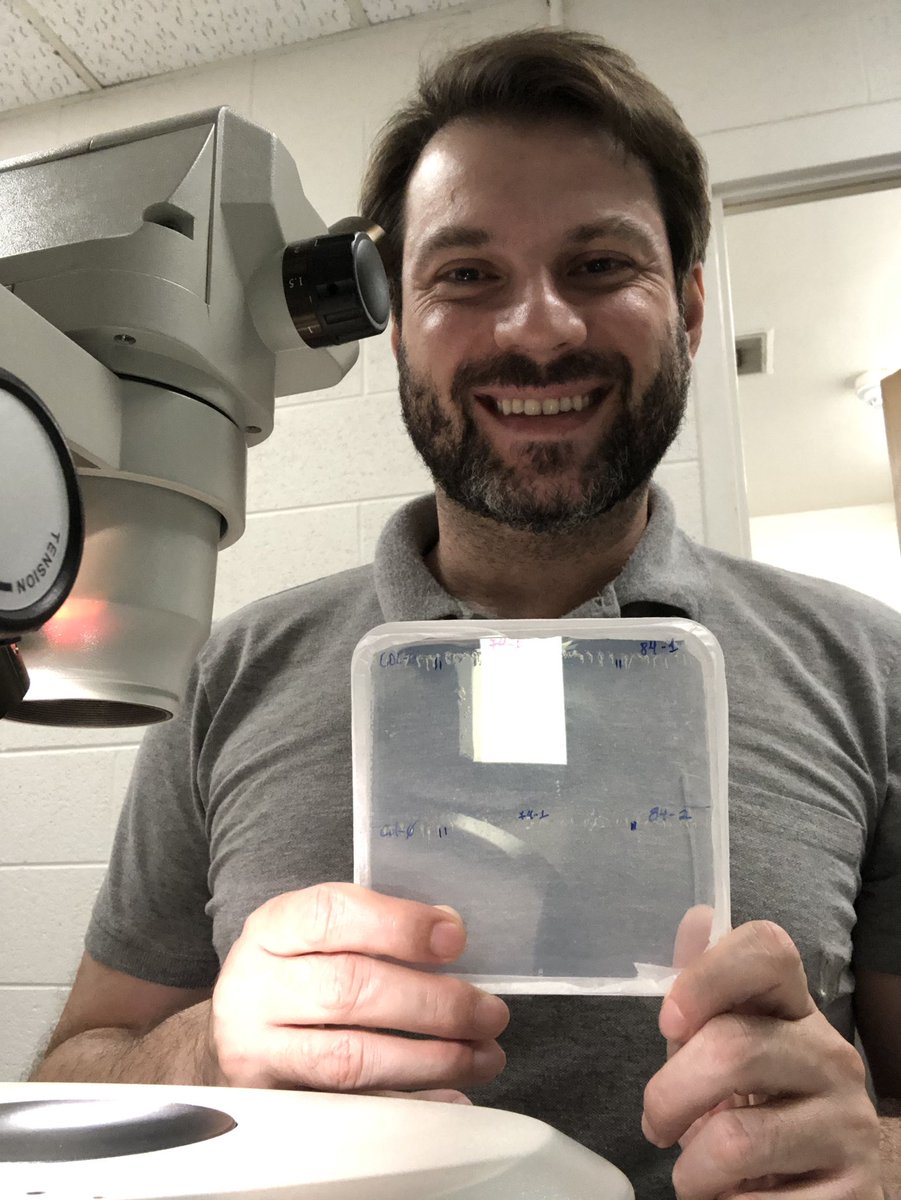 Luiz-Eduardo Del-Bem tweet media