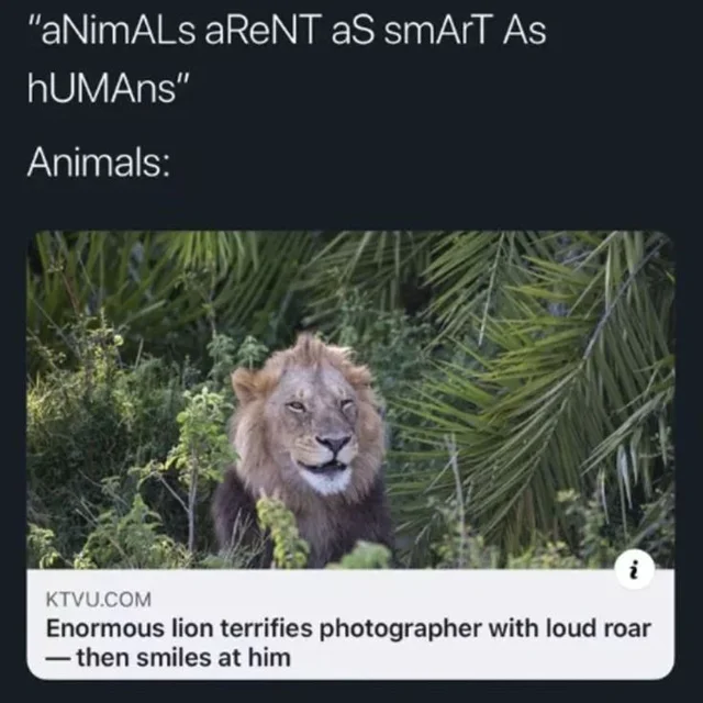 WholesomeMeme's tweet photo. https://t.co/tYpJ36Y024