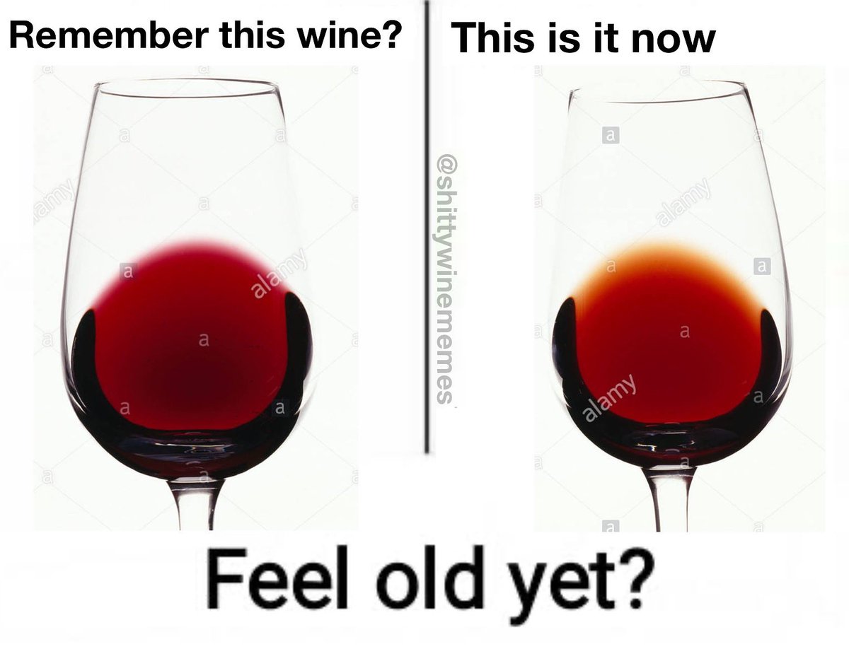 shittywinememes's tweet image. Damn.. time flies