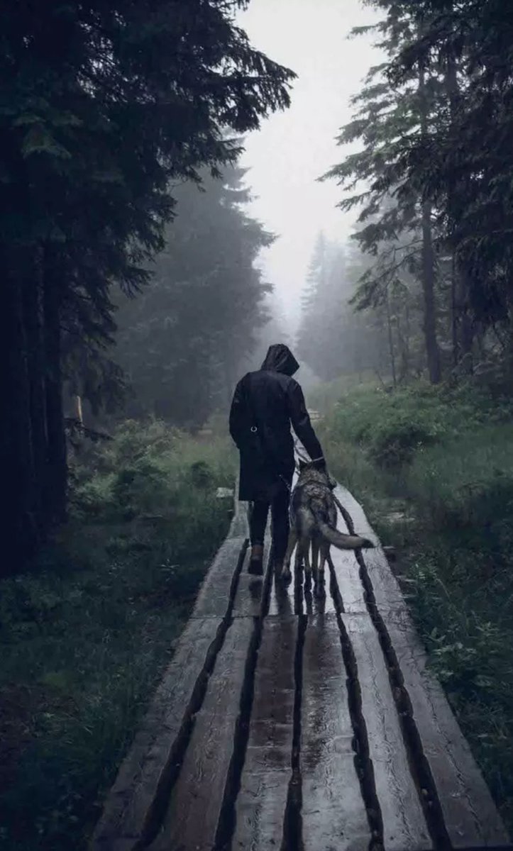 honky_tonk's tweet image. Humans have comrades.

人間には、盟友がいます。
#comrade #盟友
RP @Angels_fall5