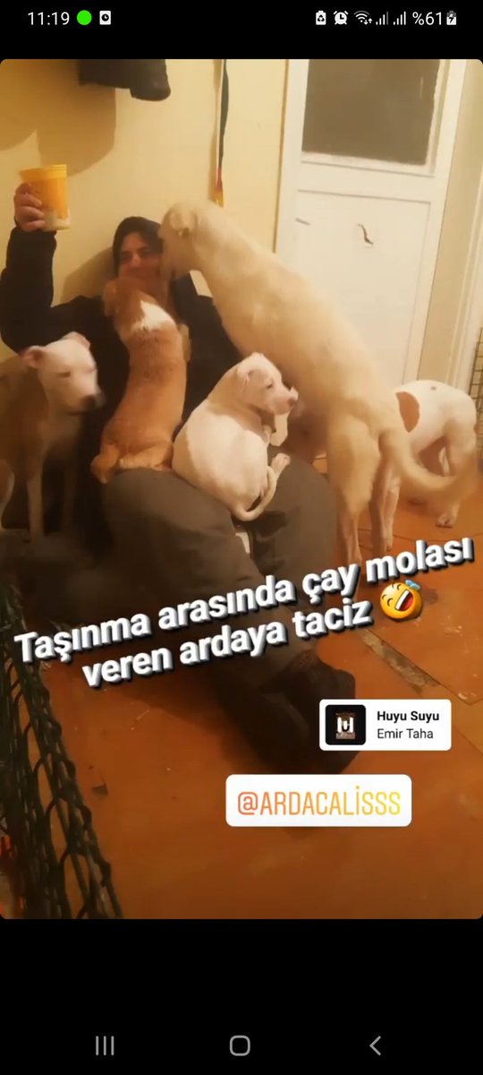 ardacatweet's tweet photo. 13 yıl boyunca bana yaşattığın eşsiz sevgiyi asla baska bir hayvanda bulamayacağım. Ve seni her saniye özlüyor olacağım. Uyumadan önceki kavgalarımızı inanki çok özlüyorum. Çok yakında ziyaretine geleceğim melek kızım. https://t.co/oEP8ARL9nD