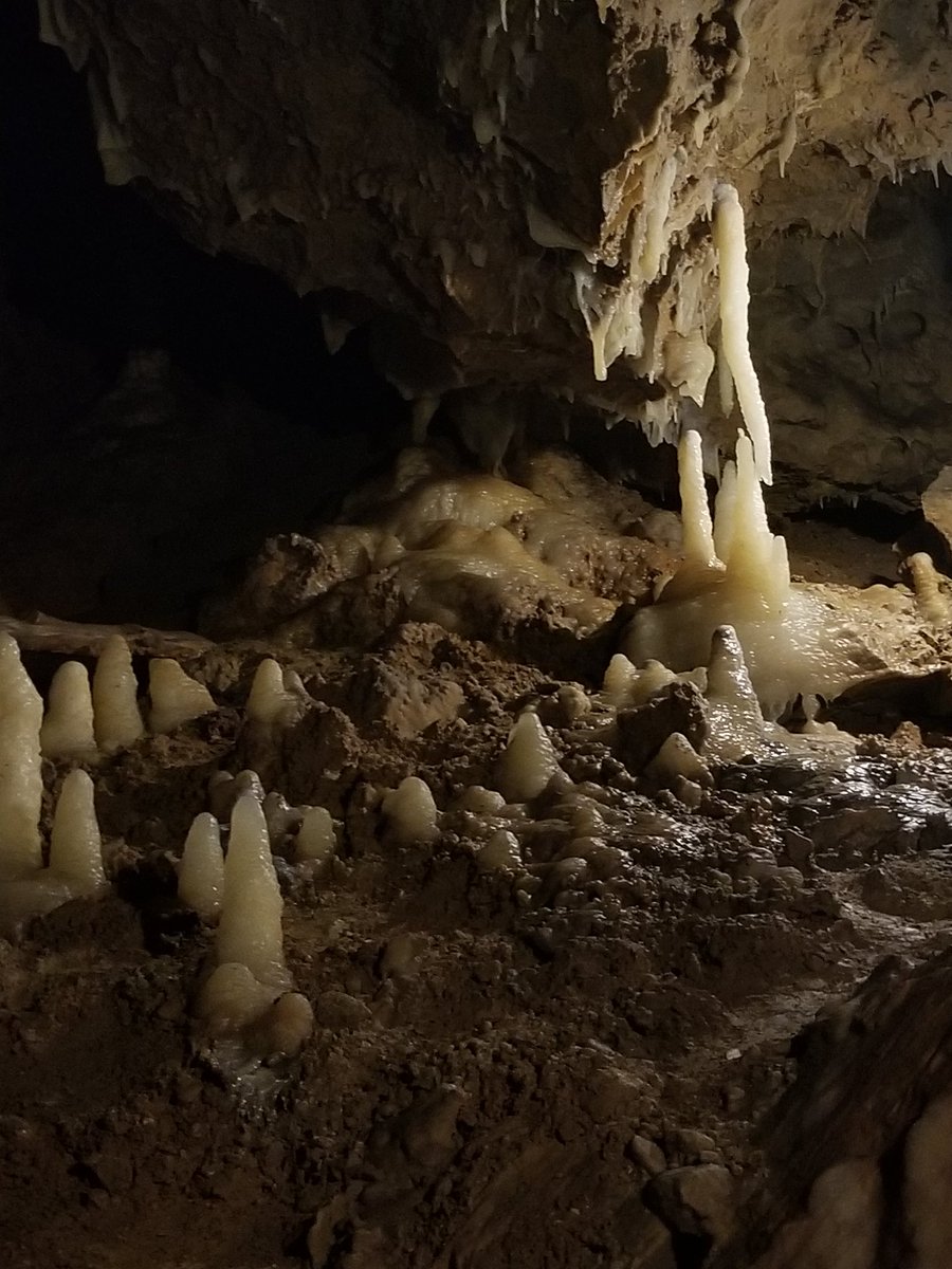 lake_nerd's tweet photo. Took a day off learning about caves to go visit a cave. #speleothems #cavescience #paleo https://t.co/cjKPFKo4xq