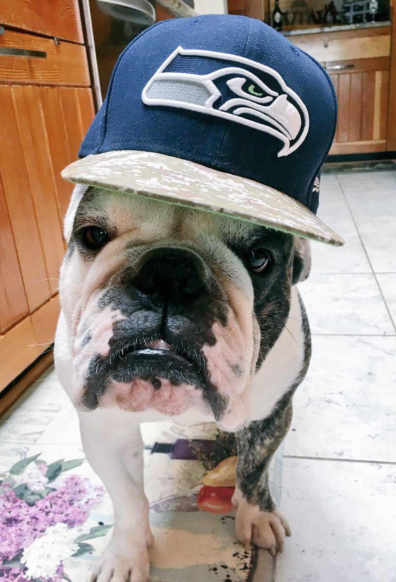 ..cuz y’all know Ammo and I are watching this game tonight from Heaven! #gohawks #mnf #12thdog #dogsoftwitter #bulldog #12s #getloud #seahawks #seahawksvsbroncos
