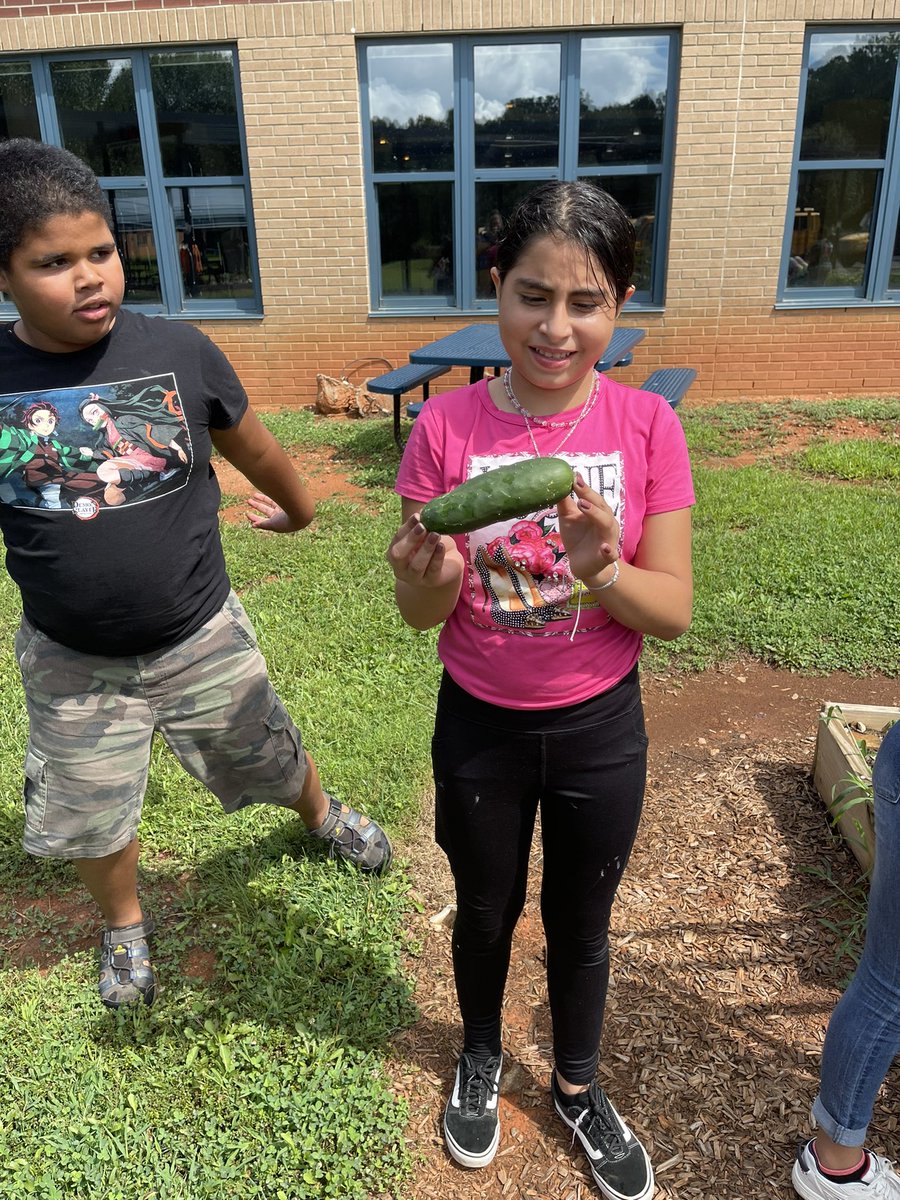 Jena Horm tweet media