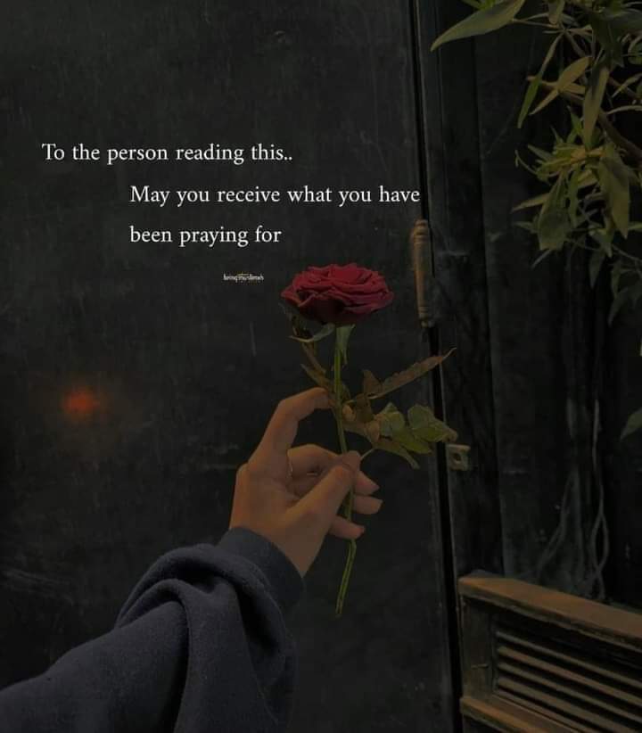 AbdullahFJan's tweet photo. Good Morning 🥀 https://t.co/jiJklSTE7H