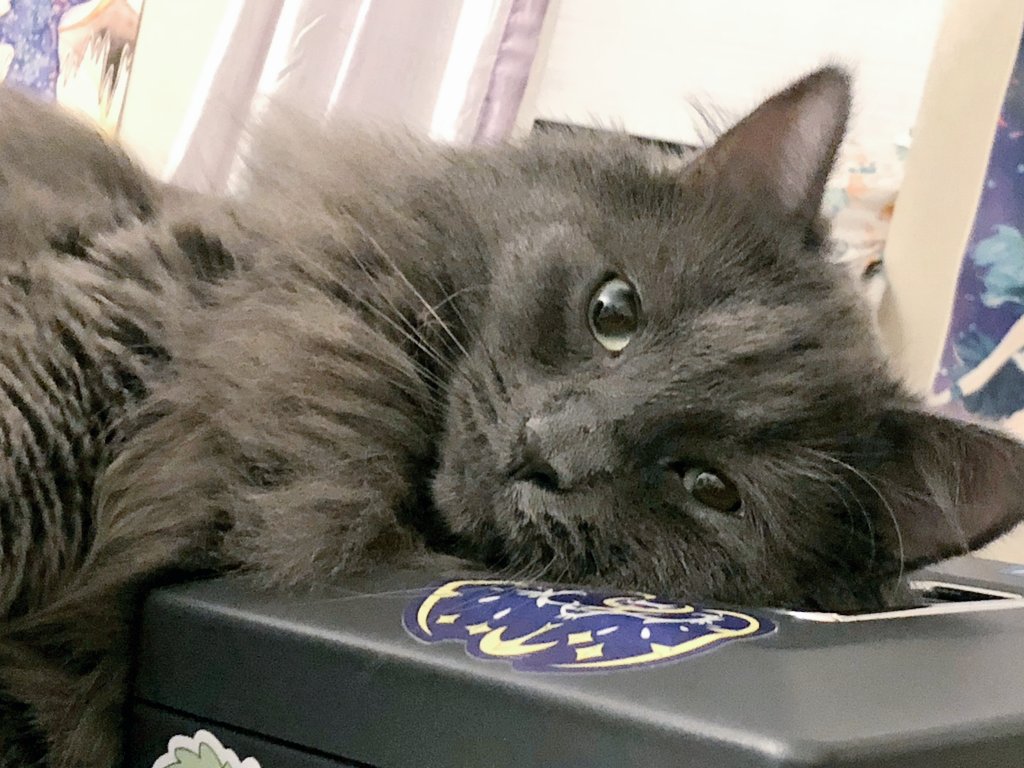 CeaselessMeower's tweet photo. sign,,,, ams Hope,mumthr kno howe much eye lov her,, https://t.co/xlRO2uafcN