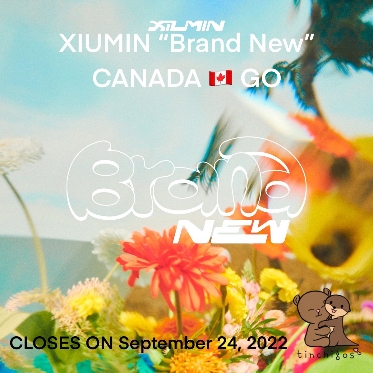 xiumin 1st solo album  “brand new” canada go #tinchigos 
3 payments: 
💐: will include most ems PB VER. (2 ver.): $25CAD each
DGPACK VER.: $15CAD each 
💐: missing ems 
💐: customs + doms (if applicable) 

sealed/unsealed options!
deadline: SEPTEMBER 24 2022 @ 9PM CST