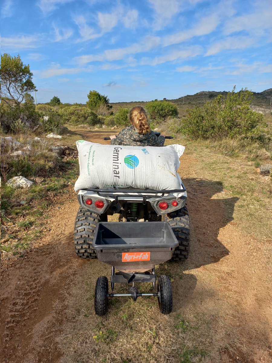 Germinar tweet media