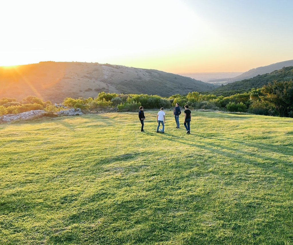 Germinar tweet media