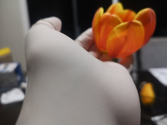 My beautiful tulips &amp; my beautiful surgical gloves ❤️ perfect!! https://t.co/lBKThOGW3e<a href="/tag/green"class="tags"><span>#green</span></a><a href="/tag/beach"class="tags"><span>#beach</span></a><a href="/tag/latexglove"class="tags"><span>#latexglove</span></a>