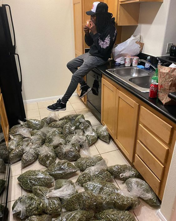 SPACECANNABIS's tweet photo. eu quando morar sozinho comprando só o necessário https://t.co/9t97IURbLU