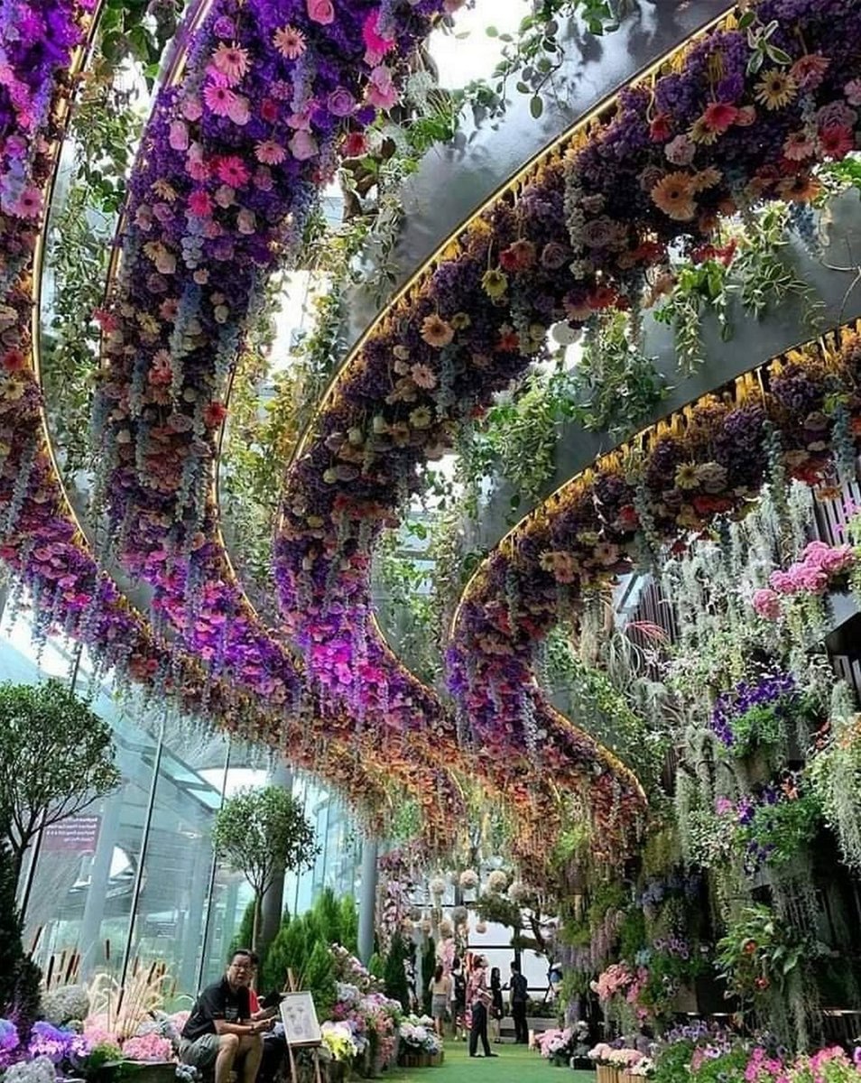 Grigör Suvari 🫀 tweet media