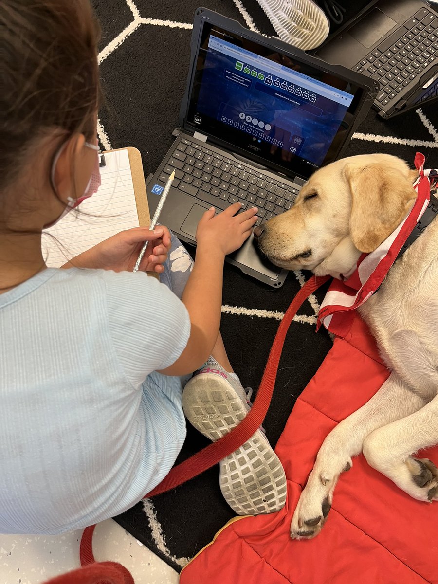 StJohnWM's tweet photo. I guess someone had a “Ruff” weekend. #WEareLakota #CherokeePride https://t.co/i6TM4CW78V