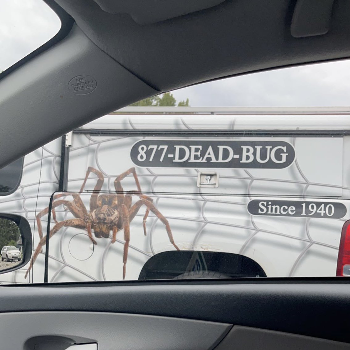 RachelLUrban's tweet photo. No one can convince me that this spider doesn’t run this exterminator business https://t.co/BTBmdljFph