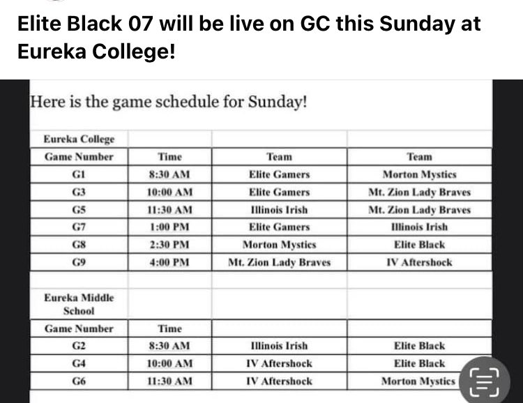 Elite Black Softball Illinois tweet media