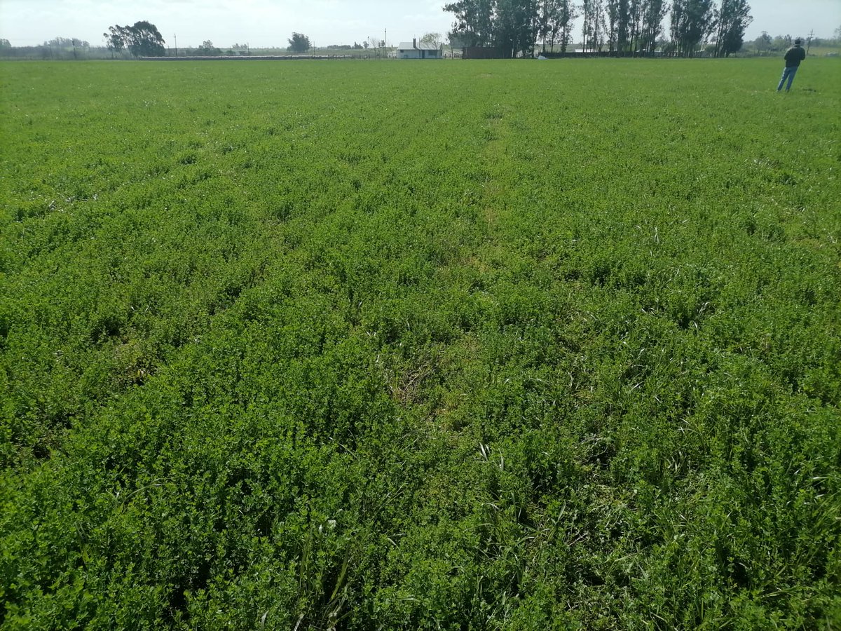 Germinar tweet media