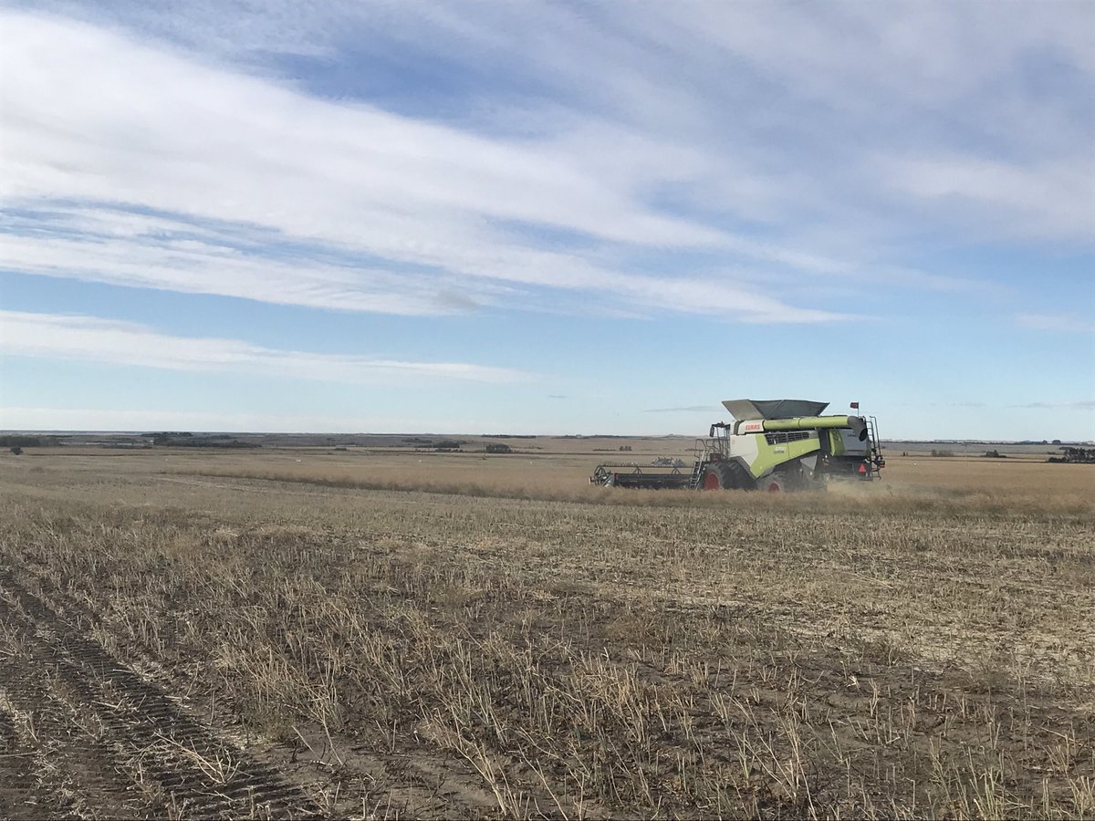 bethanyb_w's tweet photo. Another couple #InVigor DST’s are off thanks to ⁦@MundtGreg⁩! These trials would not be possible without our incredible cooperators making it happen! Stay tuned for results coming soon ⁦@BASFAgSolutions⁩ https://t.co/MO0voEgb4f