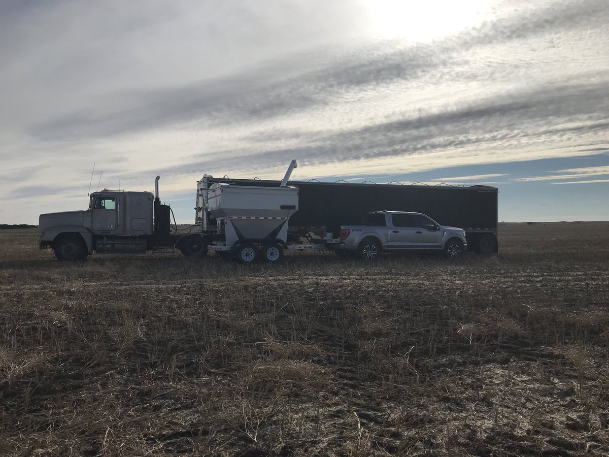 bethanyb_w's tweet photo. Another couple #InVigor DST’s are off thanks to ⁦@MundtGreg⁩! These trials would not be possible without our incredible cooperators making it happen! Stay tuned for results coming soon ⁦@BASFAgSolutions⁩ https://t.co/MO0voEgb4f