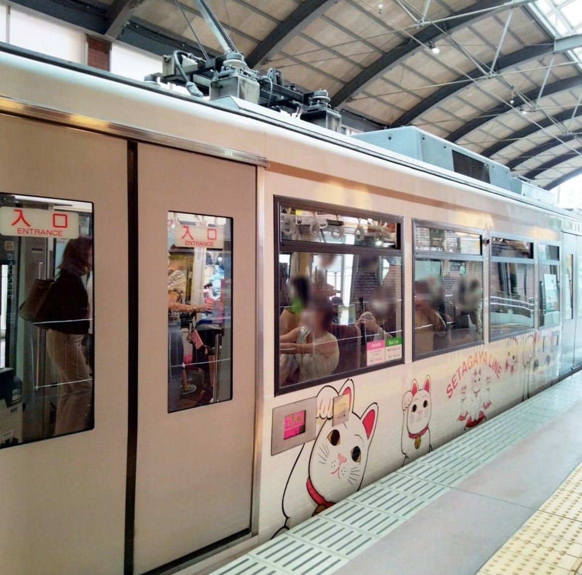 hana_gosyuin's tweet photo. 東急世田谷線「幸福の招き猫電車」を発見🐈

世田谷線は2両編成で運行している路面電車です。

三軒茶屋駅と下高井戸駅を結ぶ10駅5キロの路線で、起点の駅である三軒茶屋駅は渋谷から5分で着くぐらい都心に近いにも関わらず、ローカル感を強く感じることが出来ます♪

#東急線花御朱印巡り #東急電鉄 https://t.co/UXPO9uEoYs