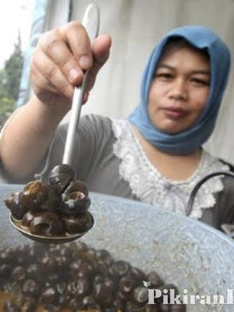 gowink's tweet photo. @kuahseublaq @tatarsundal Kulkas 20jt-an, njir. Middle class makannya oyster? Middle class mah jajane tutut 😩 https://t.co/wlmn8kSPb5