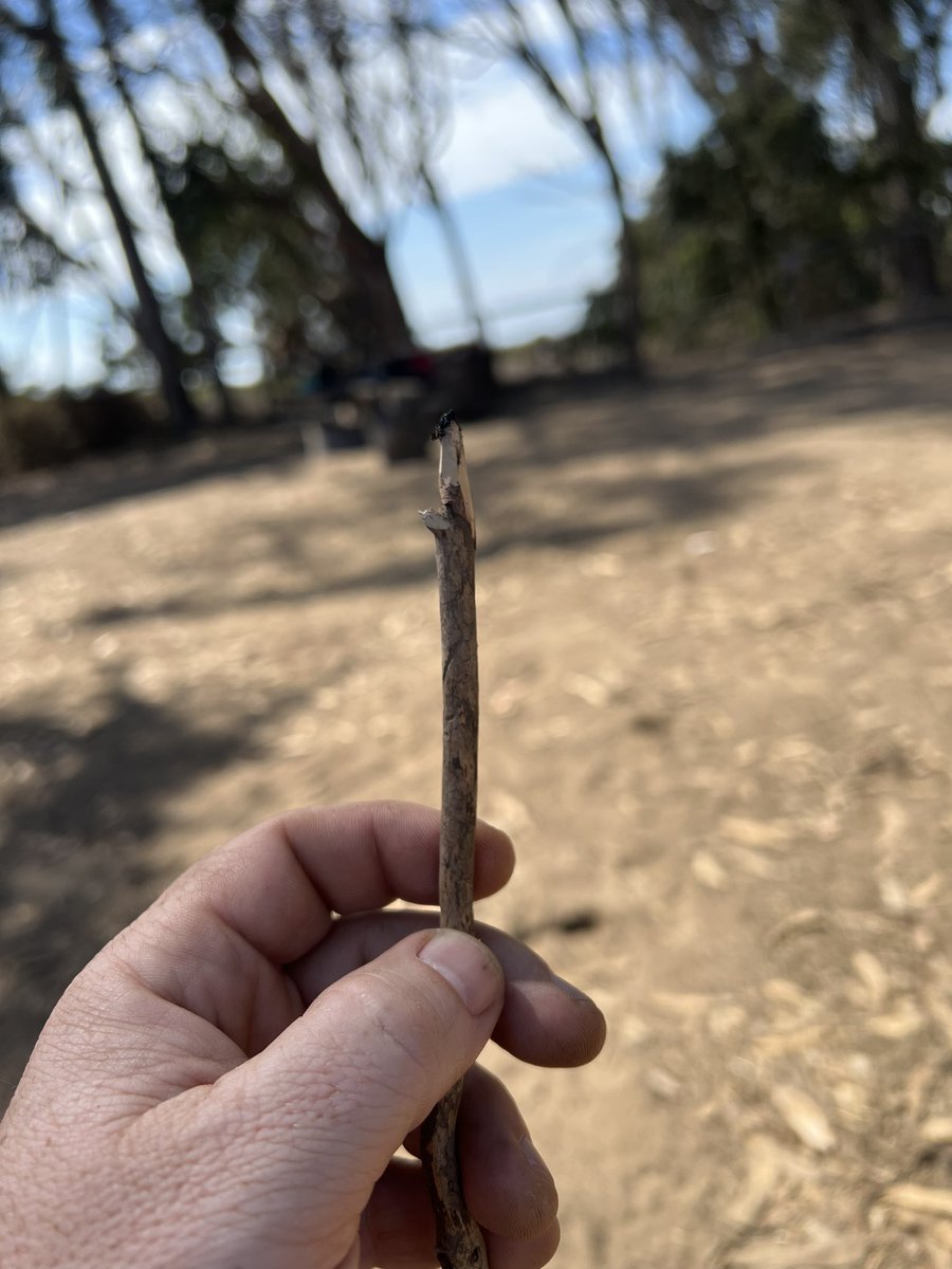 holden_rev's tweet photo. I had to widdle a bowl cleaner today. #RoughingIt #CampTips https://t.co/03qwcgjOPm