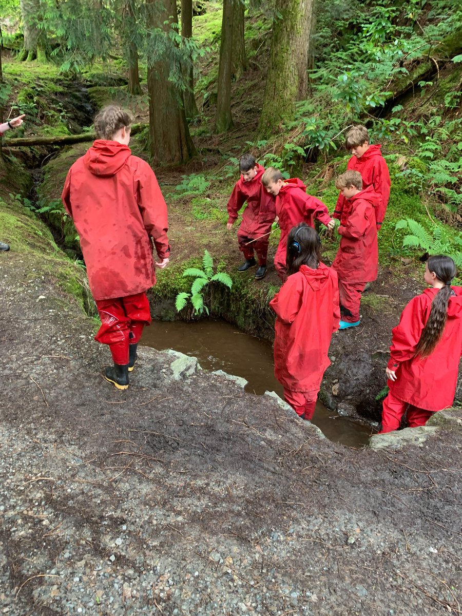 Bonaly Primary tweet media