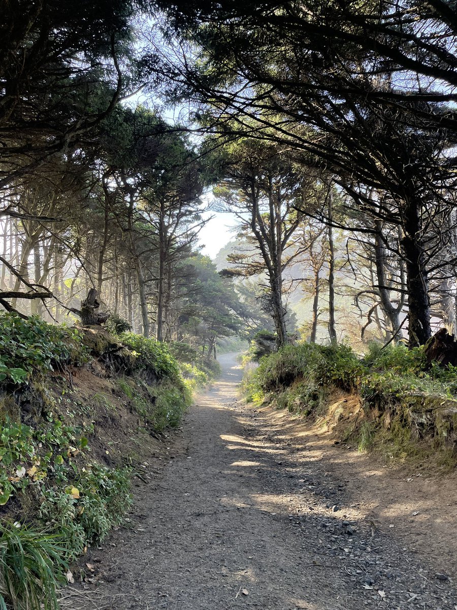 Fog laden pathways to the beach >>>. #onlyinOregon