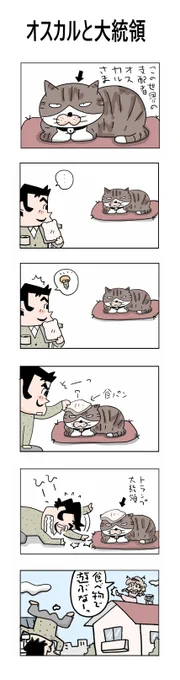 オスカルと大統領#こんなん描いてます #自作まんが #漫画 #猫まんが #4コママンガ #NEKO3 