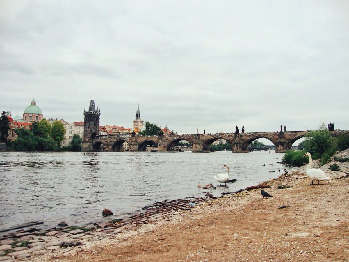 b_aroundworld's tweet photo. Itโs #Top4Themes again ๐คฉ now with #Top4Bridges
Tagging our wonderful hosts: @fionamusiclakes @LiveaMemory @gfreetraveler @Giselleinmotion
1 Budapest
2 London
3 Lisbon
4 Praga https://t.co/AK1sPgyCxL