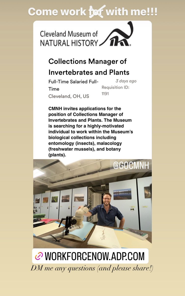 We are hiring a multi-disciplinary collections manager to work with a young and energetic group of curators driving an exciting research program! Come work with me!! #AcademicTwitter #AcademicChatter #academicjobs #biologyjobs #EvolDir #YSF2022 #botany

workforcenow.adp.com/mdf/recruitmen…