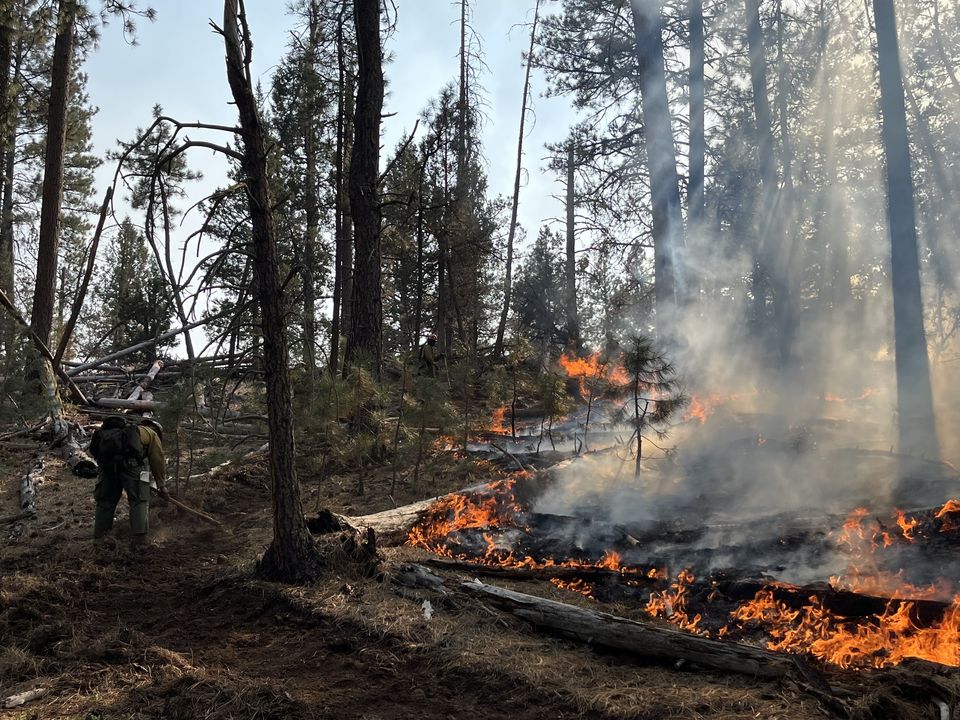 ModocNF's tweet image. #Barnesfireupdate