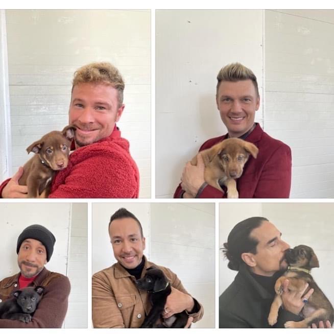 nashvillehumane's tweet photo. Everybody. Yeah. Rock your puppy. Yeah. Everybody. Rock your namesakes right. Cause its Backstreet's pups, alright! That’s right! It’s time to throw your hands up in the air &amp; wag your tails like you just don’t care. Cause have we got some @backstreetboys / NHA Pup news for you! https://t.co/lt03hAdQp4